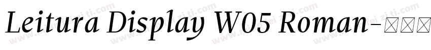 Leitura Display W05 Roman字体转换